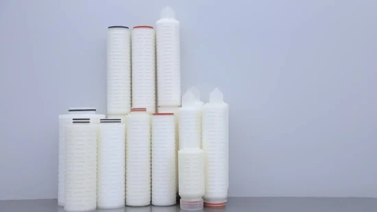 Darlly Hydrophobes PTFE-Membran 0,1 Mikron Faltenfilterelement für Druckluft